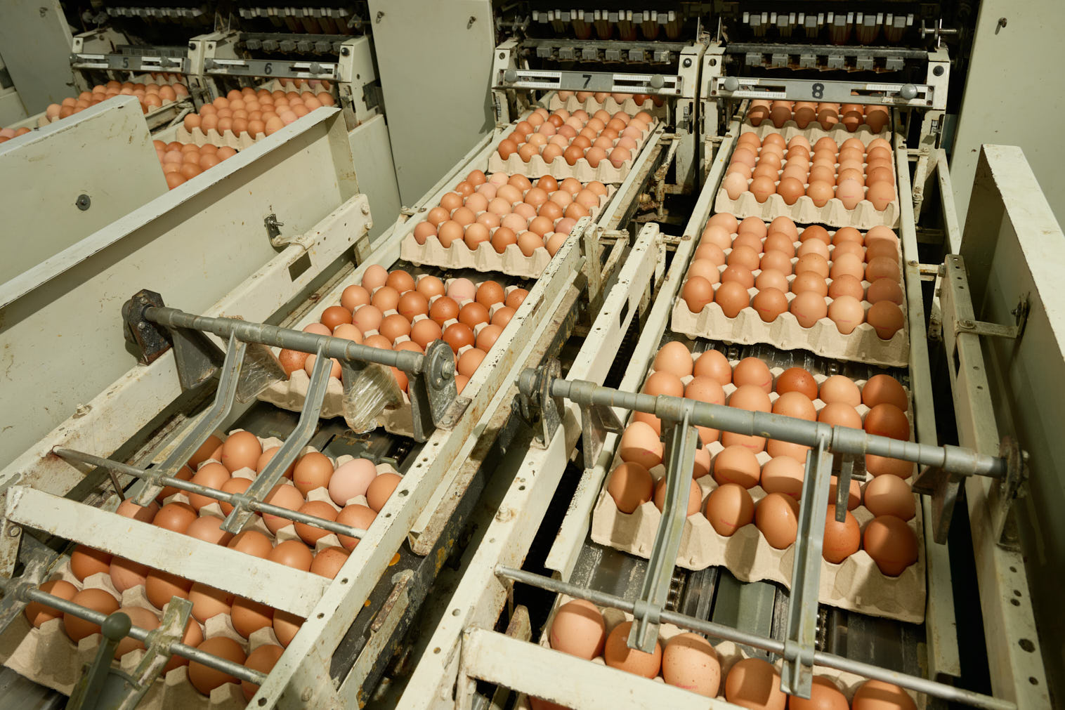 Instalaciones Uriagereka